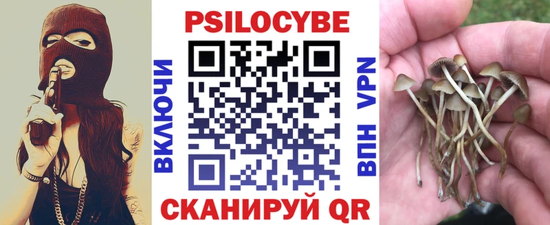 цены   Сланцы  Псилоцибиновые грибы GOLDEN TEACHER 